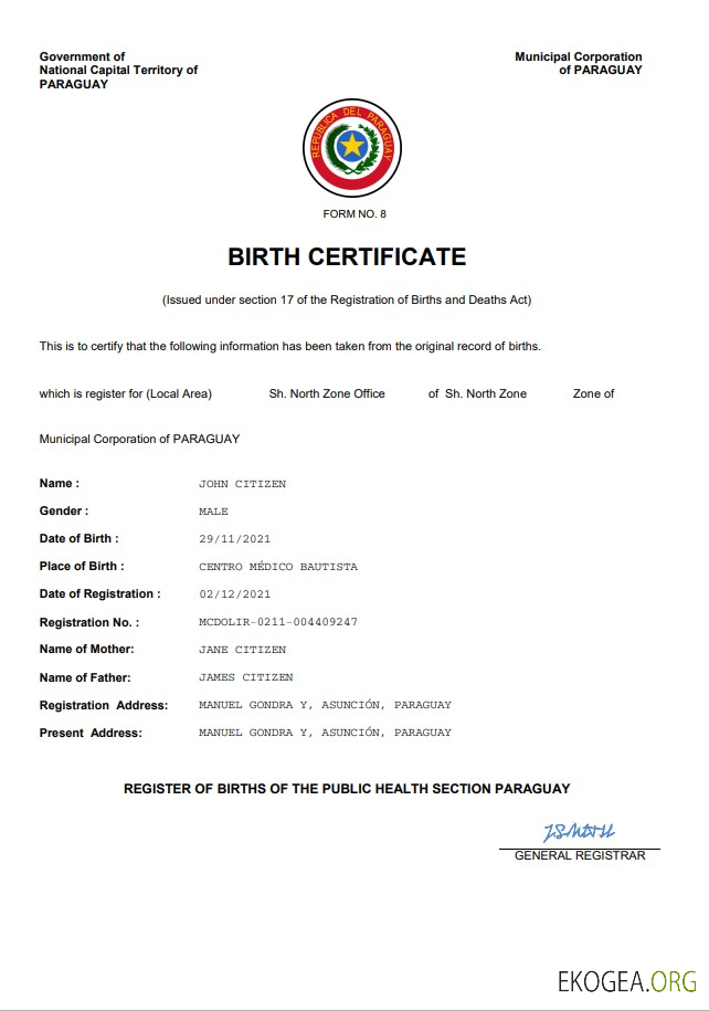 Modèle Word et PDF d'acte de naissance du Paraguay